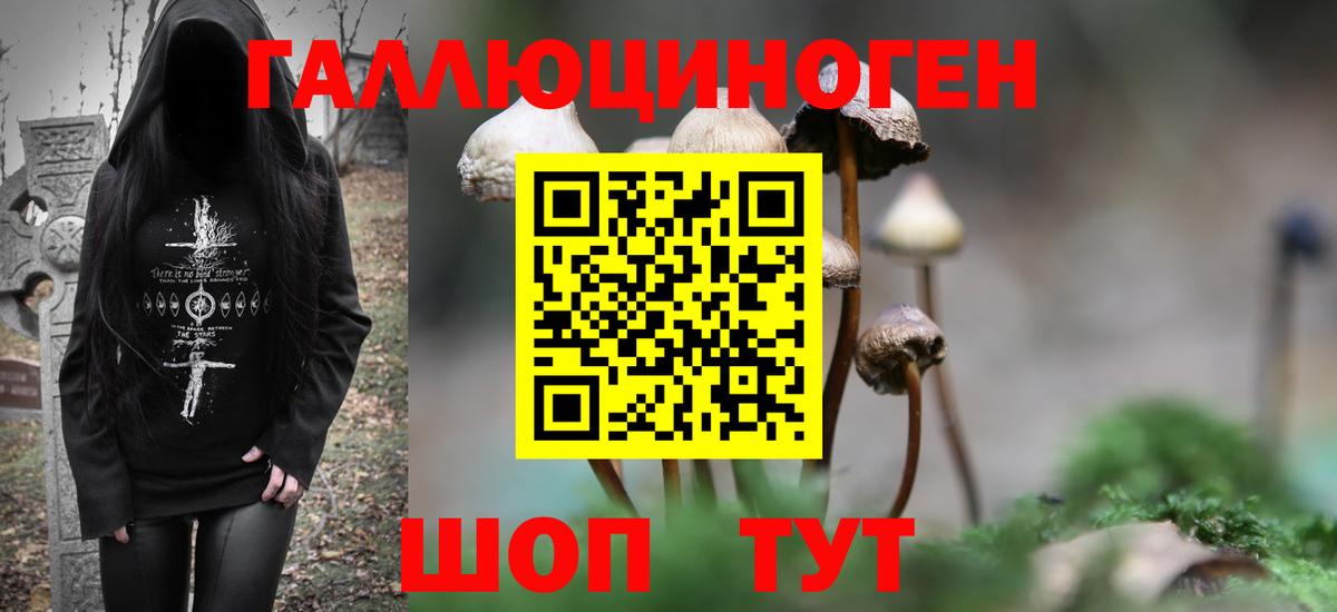 Галлюциногенные грибы Psilocybine cubensis Назарово