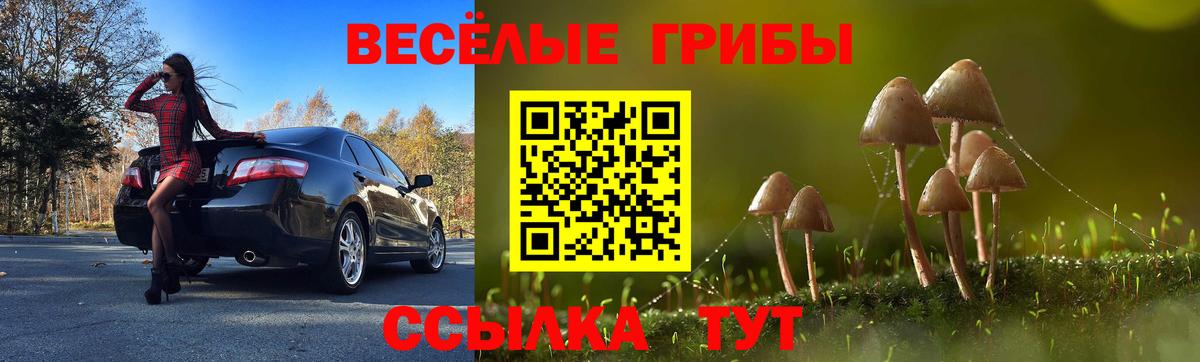 Галлюциногенные грибы Psilocybine cubensis  Вход с VPN  Назарово  Псилоцибиновые грибы Psilocybe 